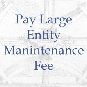 Pay Large Entity Patent Maintenance Fee