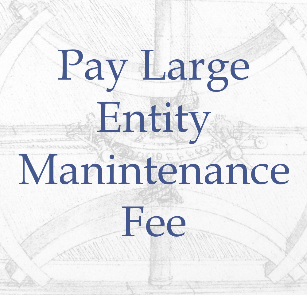 Large Entitiy Maintenance Fee 